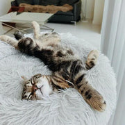 Brooklyn® Deep Sleep Cat Bed by The Brooklyn