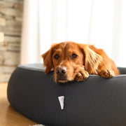 Brooklyn® Nest Cooling Dog Bed (Orthopaedic Memory Foam) by The Brooklyn