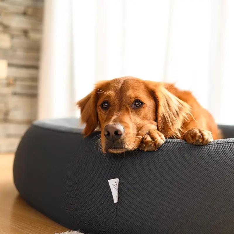Brooklyn® Nest Cooling Dog Bed (Orthopaedic Memory Foam) by The Brooklyn