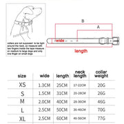 Dog Collar - XS by salelink.co.nz