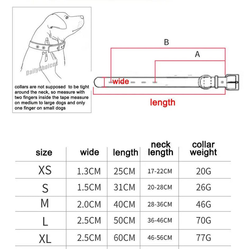Dog Collar - XS by salelink.co.nz