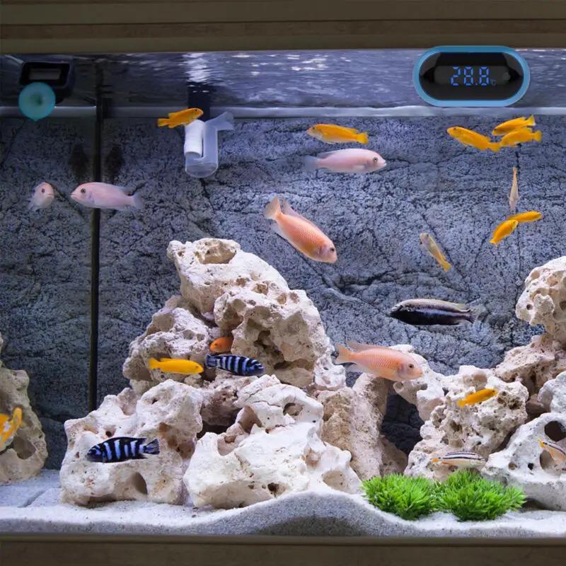 Digital Aquarium Thermometer by salelink.co.nz