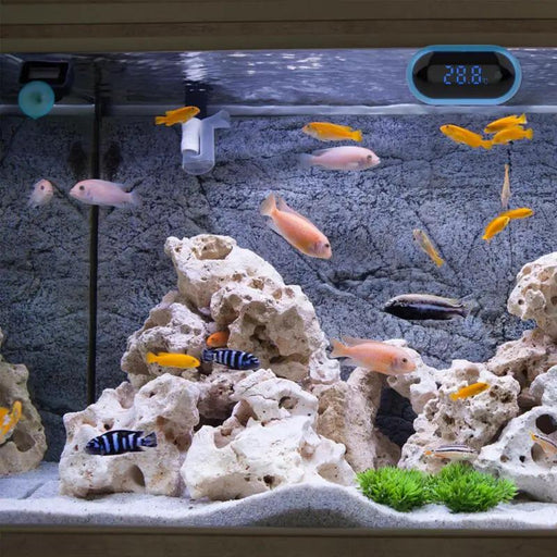 Digital Aquarium Thermometer by salelink.co.nz