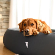 The Brooklyn Dog Beds Brooklyn® Nest Cooling Dog Bed (Orthopaedic Memory Foam) The Brooklyn Nest Cooling Dog Bed With Memory Foam