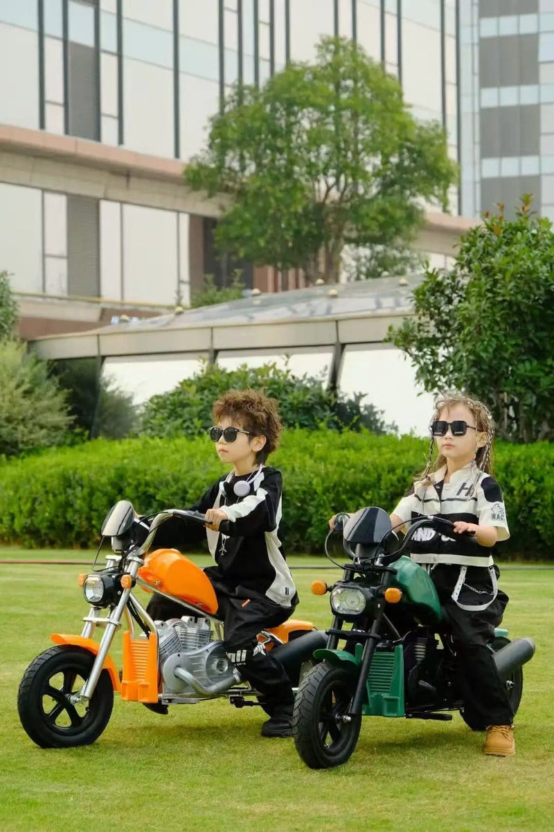 Kiwi eRide Kiwi eRide Ages 4 - 9 , Kids electric scooter Ages 4 - 9 , Kids electric scooter