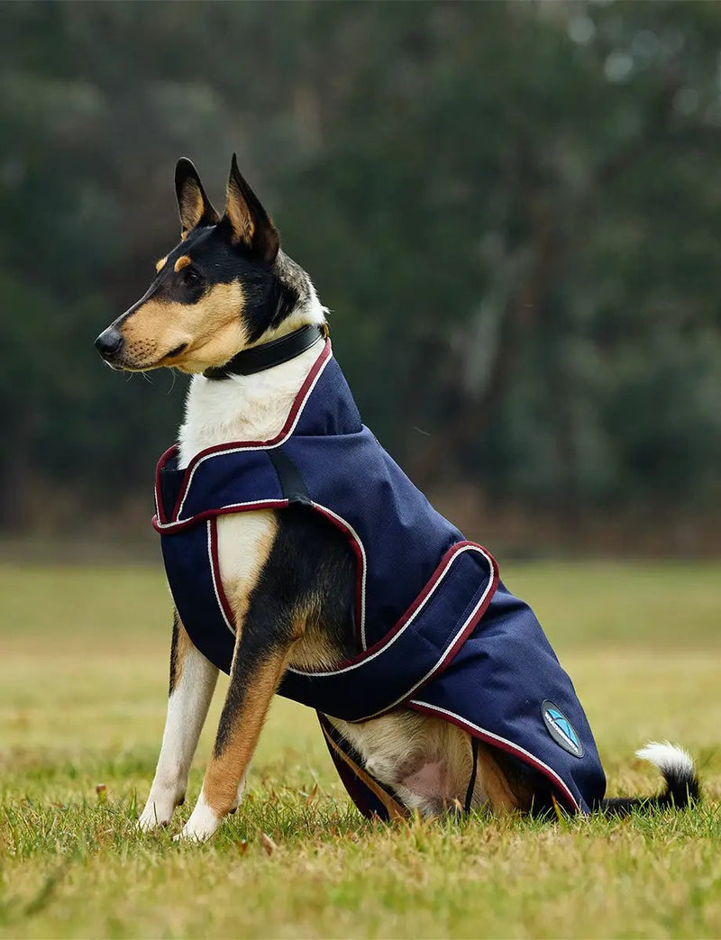 WeatherBeeta ComFiTec Premier Deluxe Waterproof Dog Coat by WeatherBeeta
