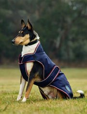 WeatherBeeta ComFiTec Premier Deluxe Waterproof Dog Coat by WeatherBeeta
