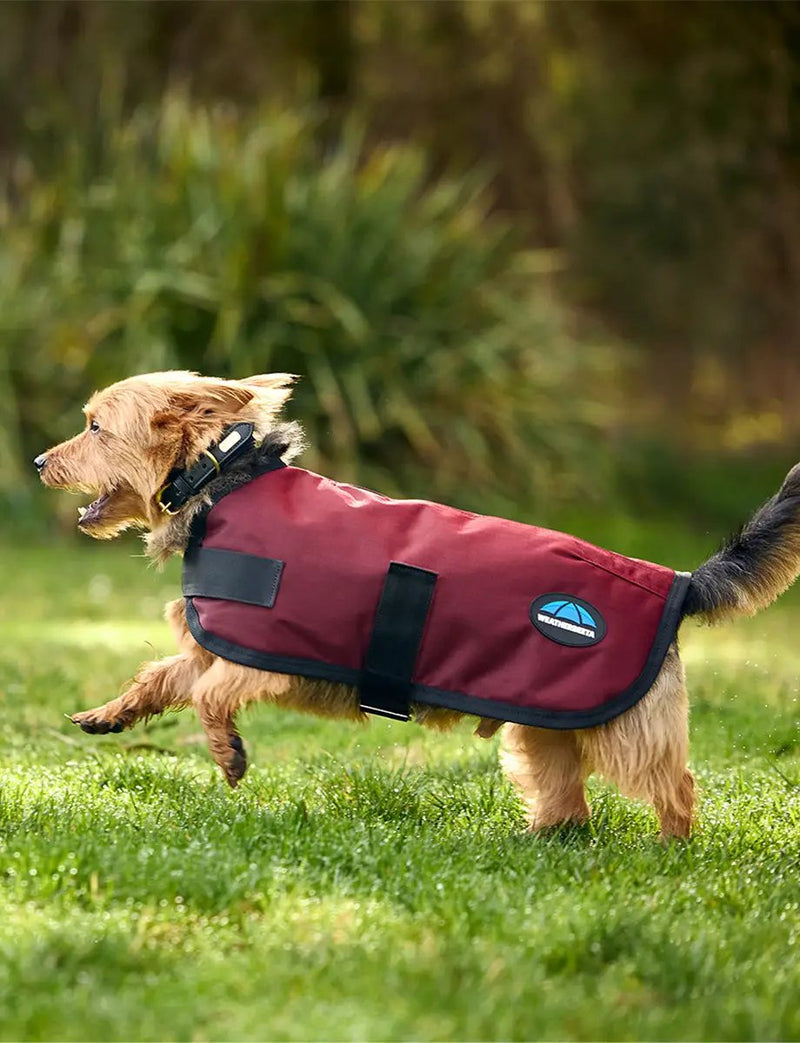 WeatherBeeta ComFiTec Classic Waterproof Dog Coat by WeatherBeeta