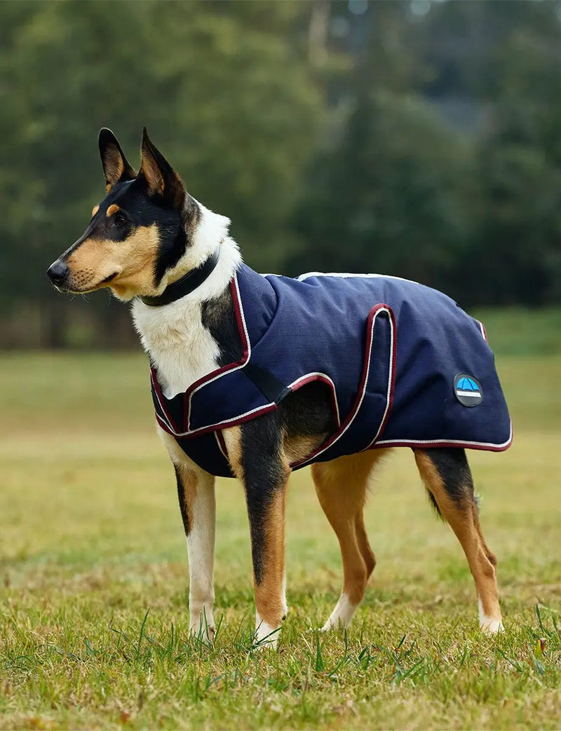 WeatherBeeta ComFiTec Premier Deluxe Waterproof Dog Coat by WeatherBeeta