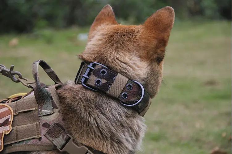 Heavy Duty Dog Collar XL, L by dealonline.co.nz