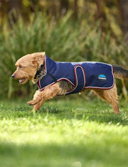 WeatherBeeta ComFiTec Premier Deluxe Waterproof Dog Coat by WeatherBeeta