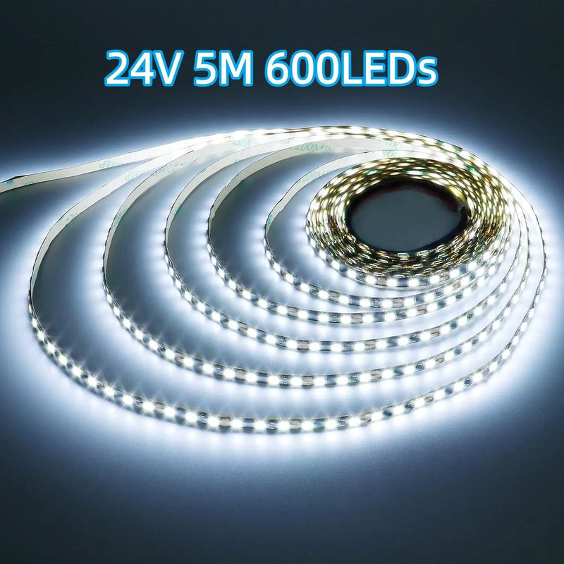 2835 24V 5M LED Strip Light Cool White 120LED/M by salelink.co.nz