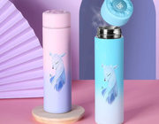 Smart Insulated Water Bottle for Students by Mead's Supply & Equipment Outfitters limited