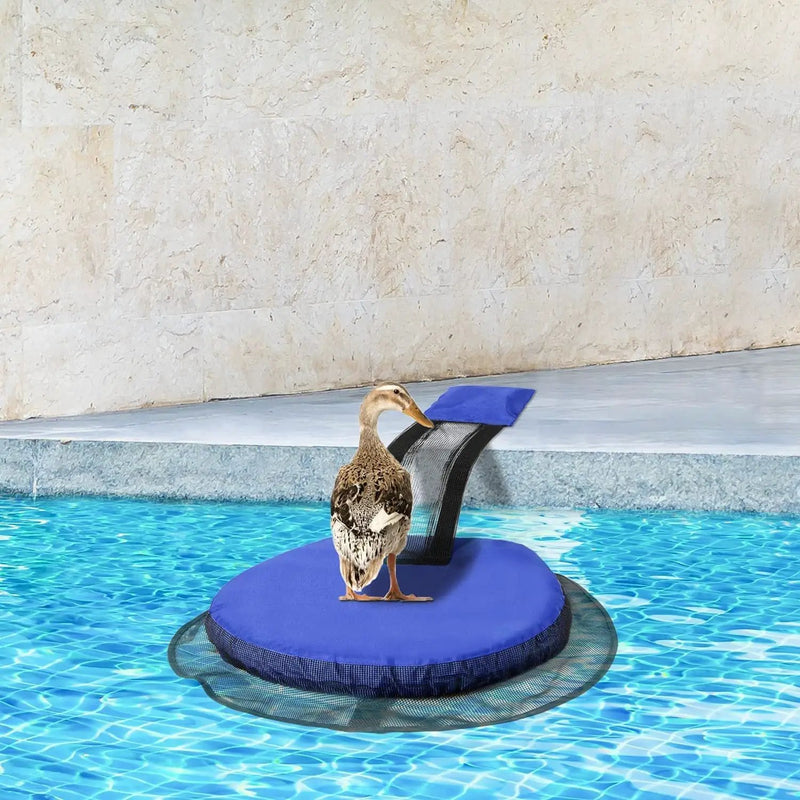 Animal Saving Escape Ramp by salelink.co.nz