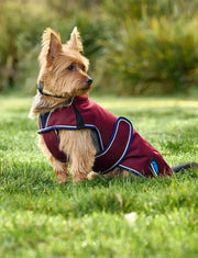 WeatherBeeta ComFiTec Premier Deluxe Waterproof Dog Coat by WeatherBeeta