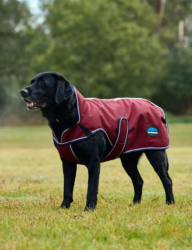WeatherBeeta ComFiTec Premier Deluxe Waterproof Dog Coat by WeatherBeeta