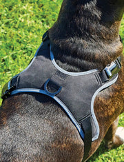 WeatherBeeta Elegance Dog Harness by WeatherBeeta