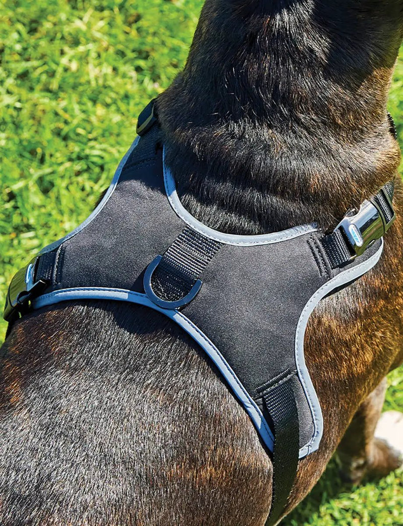 WeatherBeeta Elegance Dog Harness by WeatherBeeta