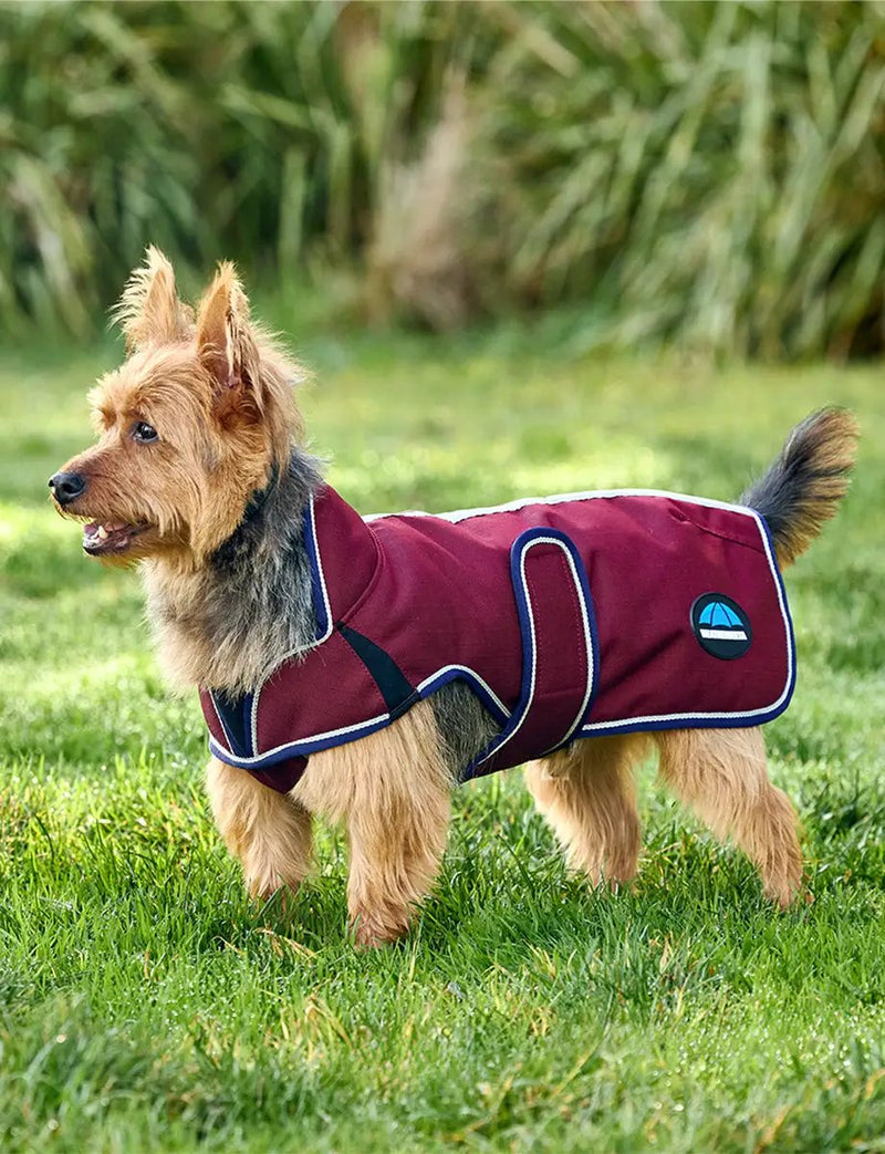 WeatherBeeta ComFiTec Premier Deluxe Waterproof Dog Coat by WeatherBeeta