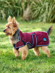 WeatherBeeta ComFiTec Premier Deluxe Waterproof Dog Coat by WeatherBeeta