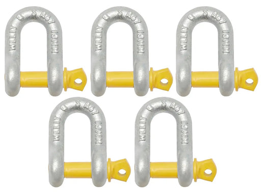D-Shackle - 10mm - 34mm x 17mm - 5 Pack