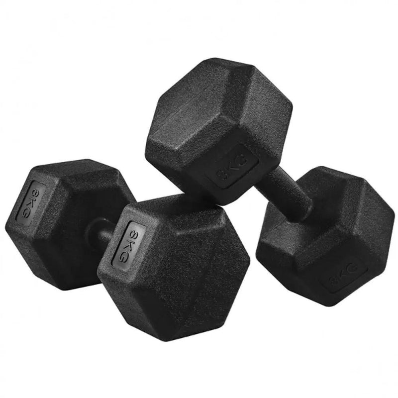 Set of 2 x 8kg Dumbbells Sporting Hand Weights by Yaheetech