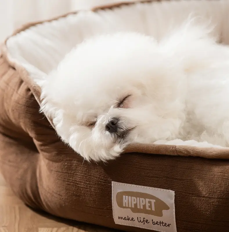 Dog Bed 80cm Large Dog Couch Thick & Warm by dealonline.co.nz