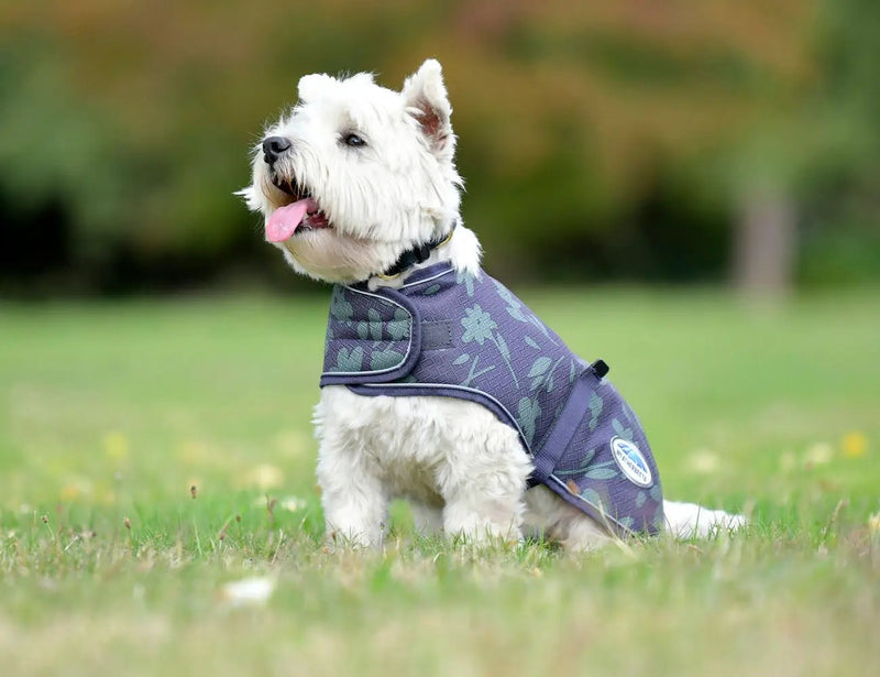 WeatherBeeta ComFiTec Premier Free Parka Dog Coat Medium by WeatherBeeta