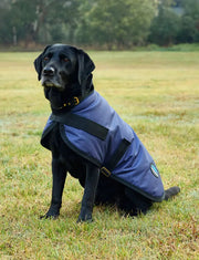 WeatherBeeta ComFiTec Classic Waterproof Dog Coat by WeatherBeeta