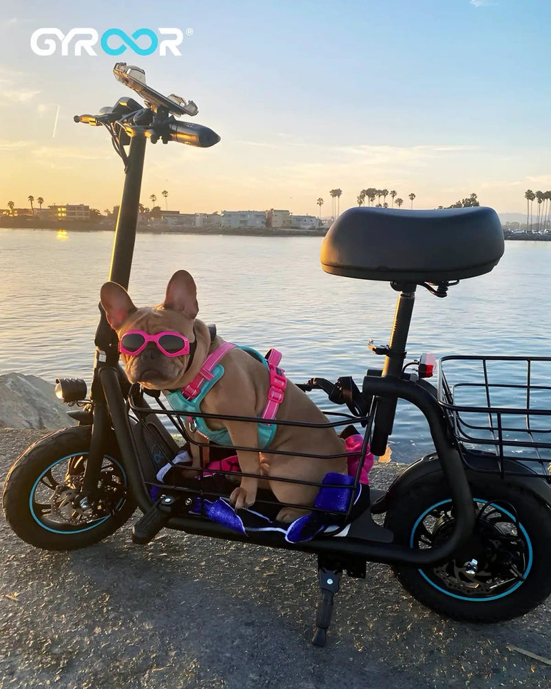 Kiwi eRide Kiwi eRide Electric Scooter with Seat GYROOR C1S Electric Scooter with Seat GYROOR C1S