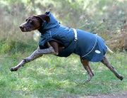WeatherBeeta Explorer Medium Dog Coat by WeatherBeeta