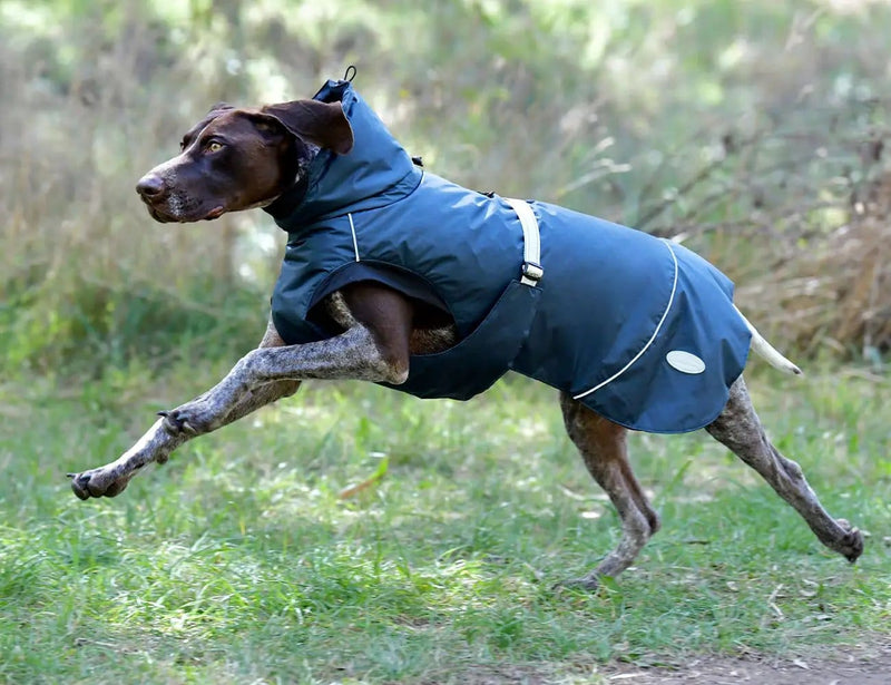 WeatherBeeta Explorer Medium Dog Coat by WeatherBeeta