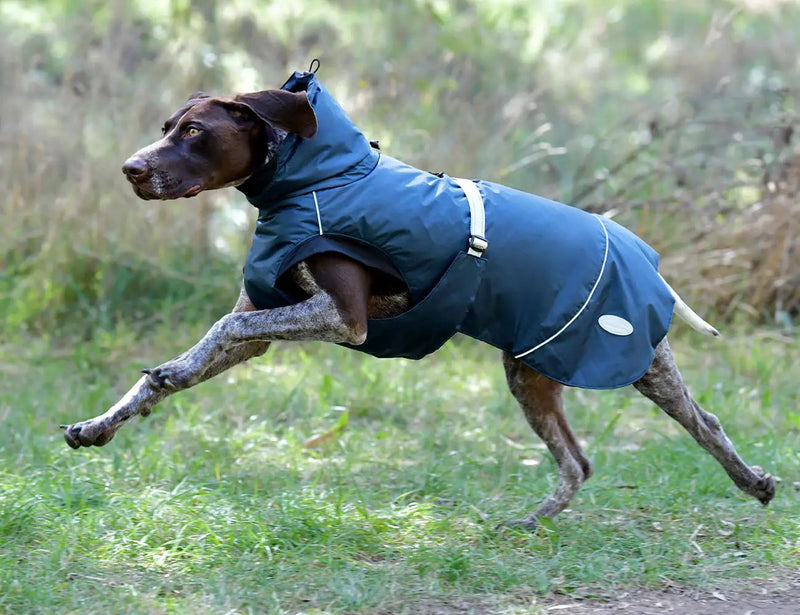 WeatherBeeta Explorer Medium Dog Coat by WeatherBeeta