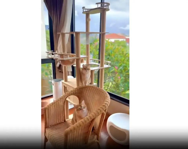185cm Modern Multi-Level Large Real Solid Wood Cat Tree, Luxury Wooden Cat Tower by dealonline.co.nz