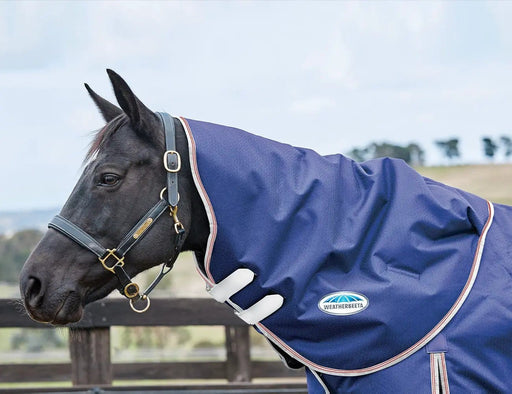 WeatherBeeta Clearance WeatherBeeta ComFiTec Essential Neck Rug Medium WeatherBeeta ComFiTec Essential Neck Rug Medium