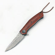 Color Shell Handle Damascus Steel Knife Wooden Handle by China Dropship