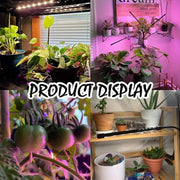 g8buynz g8buynz Grow Lights for Indoor Plants, Full Spectrum Led Plant Light with Timer Clip on Grow Lights for Indoor Plants, Full Spectrum Led Plant Light with Timer Clip on