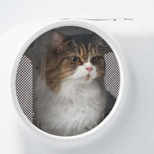 Pidan New Zealand Outing Pidan Smart Pet Carrier With LED Lighting And Ventilation Pidan Smart Pet Carrier With LED Lighting Ventilation
