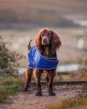 WeatherBeeta ComFiTec Windbreaker Free Dog Coat by WeatherBeeta