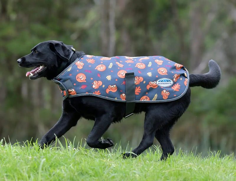 WeatherBeeta ComFiTec Premier Free Parka Dog Coat Medium by WeatherBeeta