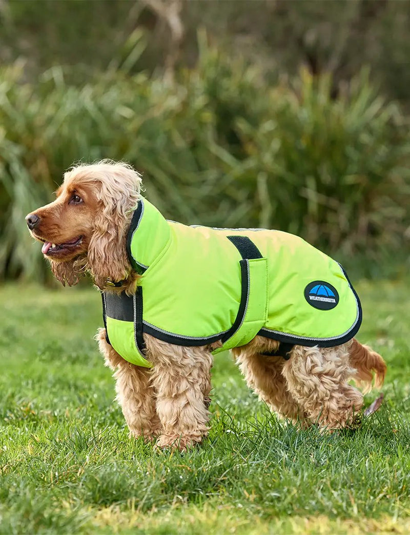 WeatherBeeta ComFiTec Reflective 300D Deluxe Showerproof Dog Coat by WeatherBeeta