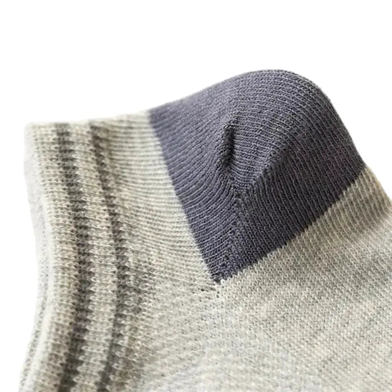 5 Pairs Boys' Dinosaur Socks – Soft & Breathable (4 sizes available) by Habicare