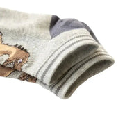 5 Pairs Boys' Dinosaur Socks – Soft & Breathable (4 sizes available) by Habicare