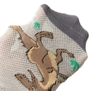 5 Pairs Boys' Dinosaur Socks – Soft & Breathable (4 sizes available) by Habicare