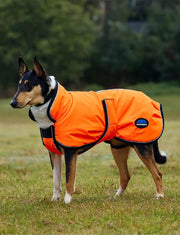 WeatherBeeta ComFiTec Reflective 300D Deluxe Showerproof Dog Coat by WeatherBeeta