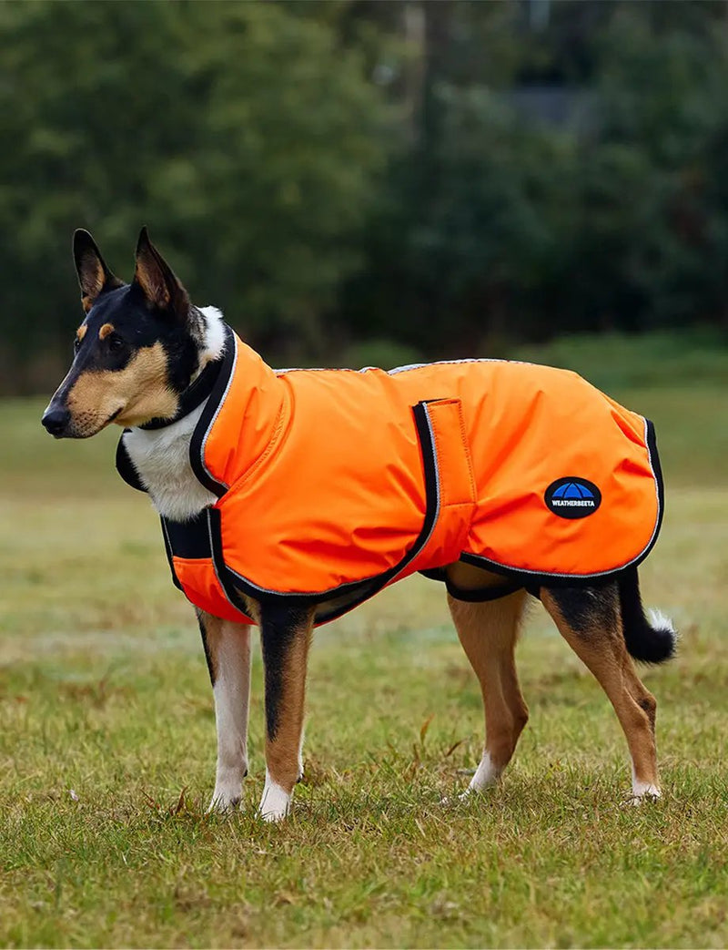 WeatherBeeta ComFiTec Reflective 300D Deluxe Showerproof Dog Coat by WeatherBeeta