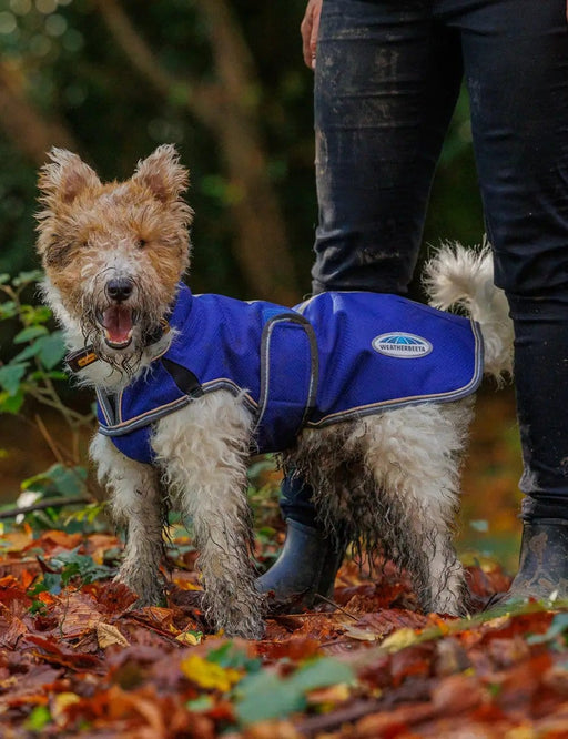 WeatherBeeta Clearance WeatherBeeta ComFiTec Premier Free Parka Deluxe Dog Coat Medium WeatherBeeta ComFiTec Premier Free Parka Deluxe Dog Coat Medium