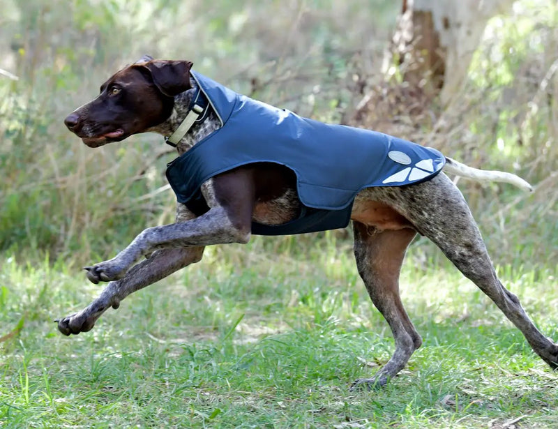 WeatherBeeta Explorer Lite Dog Coat by WeatherBeeta