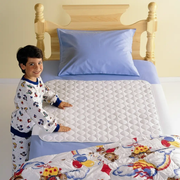 Waterproof Sheet Protector - 85X75CM by dealonline.co.nz