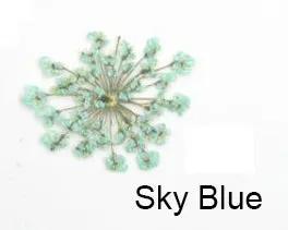 Real Dried Flower - Lace Flower, Snow Bead Flower by Resin Art NZ
